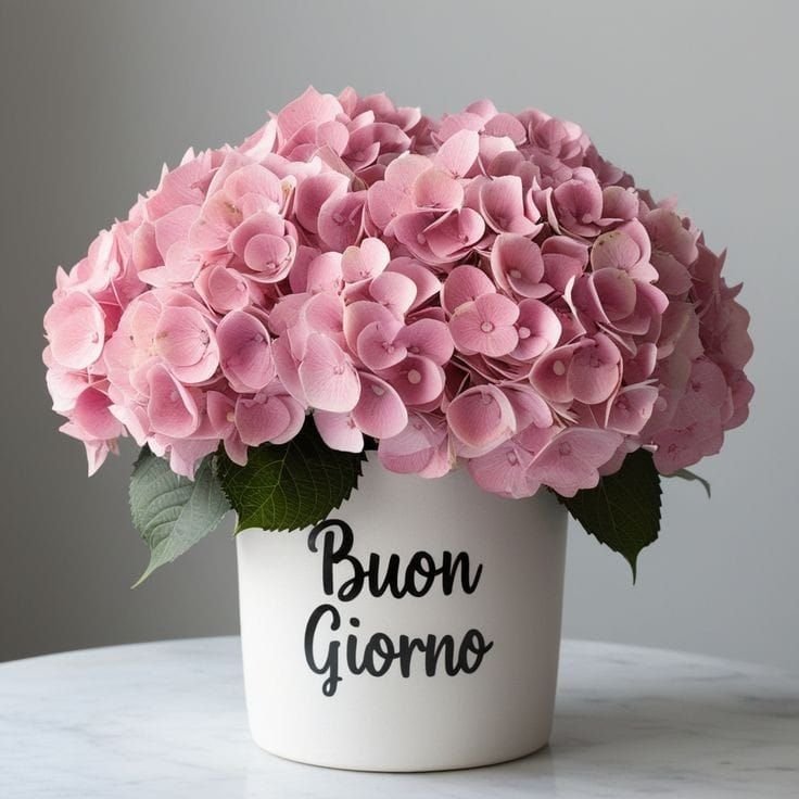 ottobre immagini buongiorno
