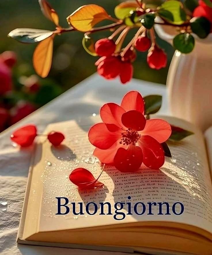 bellissime-100-immagini-buongiorno-gratis-per-whatsapp