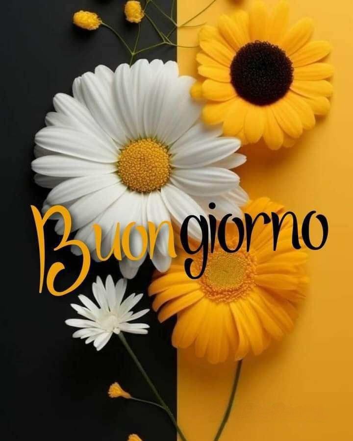 buongiorno-immagini-buon-mercoledi