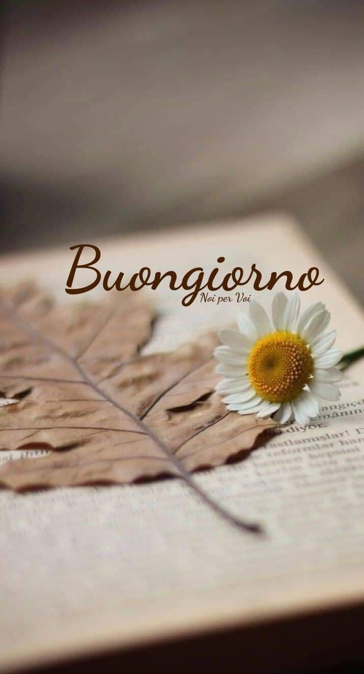 buongiorno-immagini-frasilandia