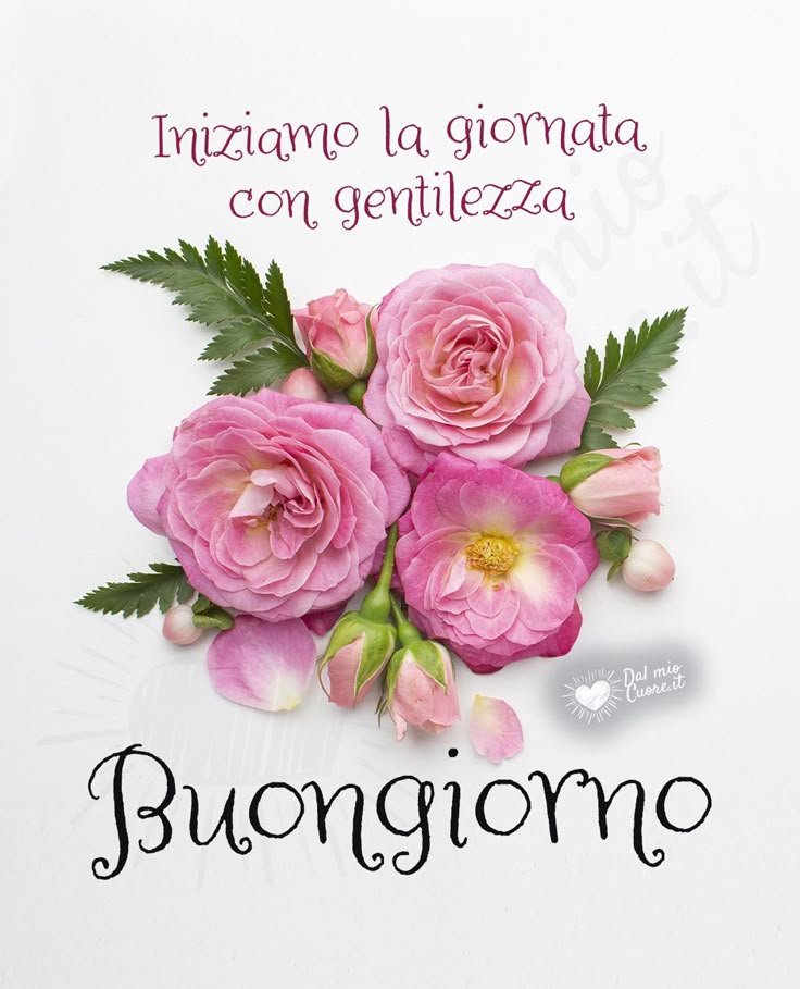 ehila-buongiorno-immagini