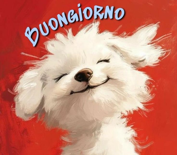 empatia-immagini-buongiorno