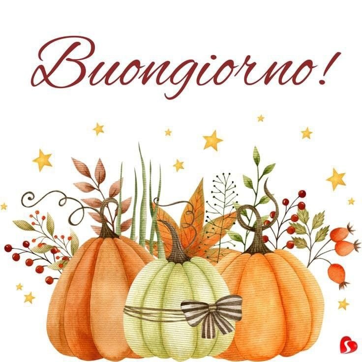 immagini-buongiorno-gatto