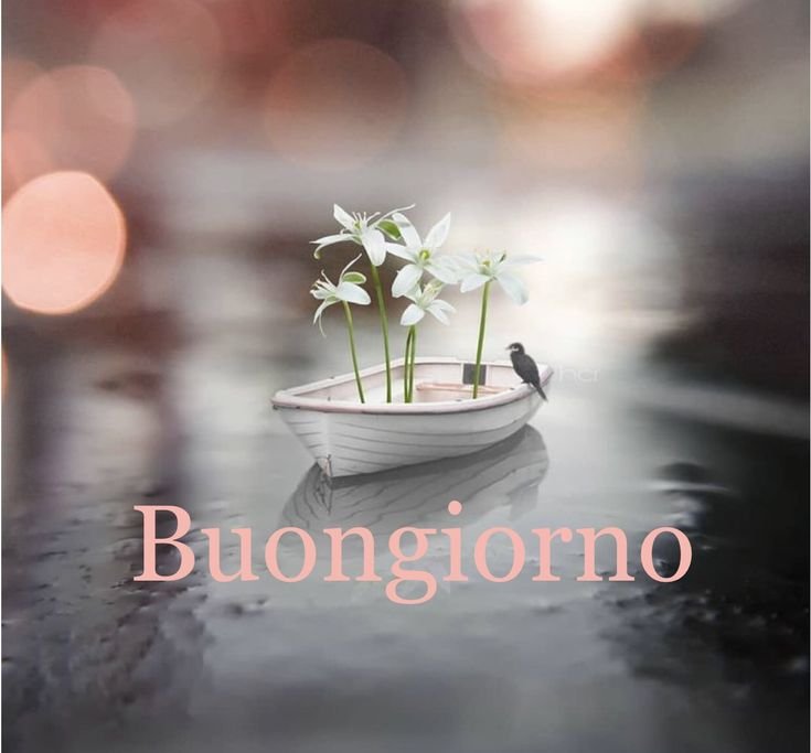 immagini buongiorno horror