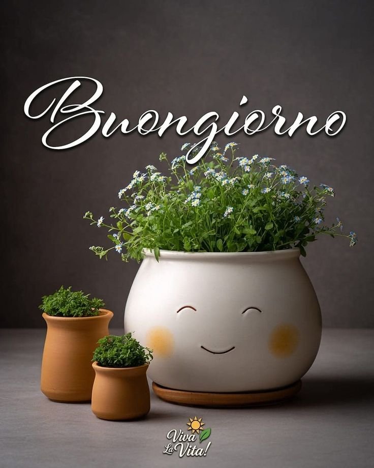 immagini-buongiorno-invernale